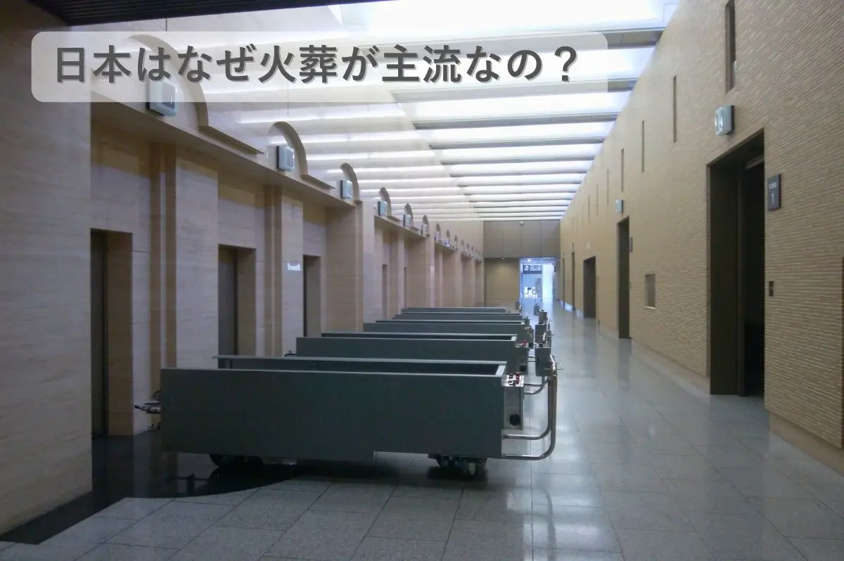 日本はなぜ火葬が主流なのかを表すイメージ画像