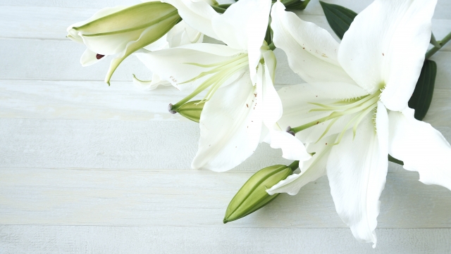 家族葬の報告が後日届いたら香典はどうする?遺族側の挨拶状例文もご紹介!