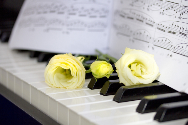 ピアノの鍵盤に乗せられた白いバラ