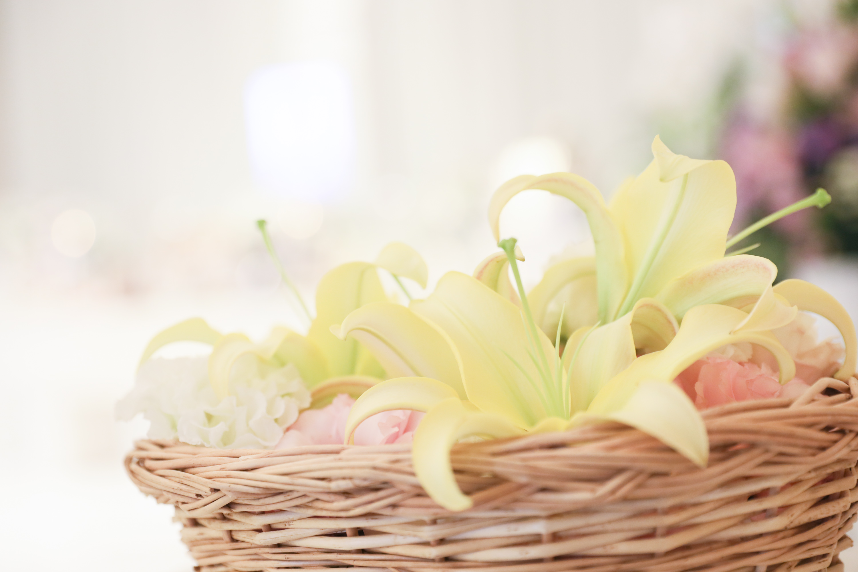 北海道の供花の相場は 花祭壇 枕花など葬儀の 花 も解説 北海道 札幌市の家族葬斎場 葬儀はウィズハウス